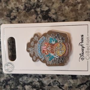 Splash Mountain Disney Pin